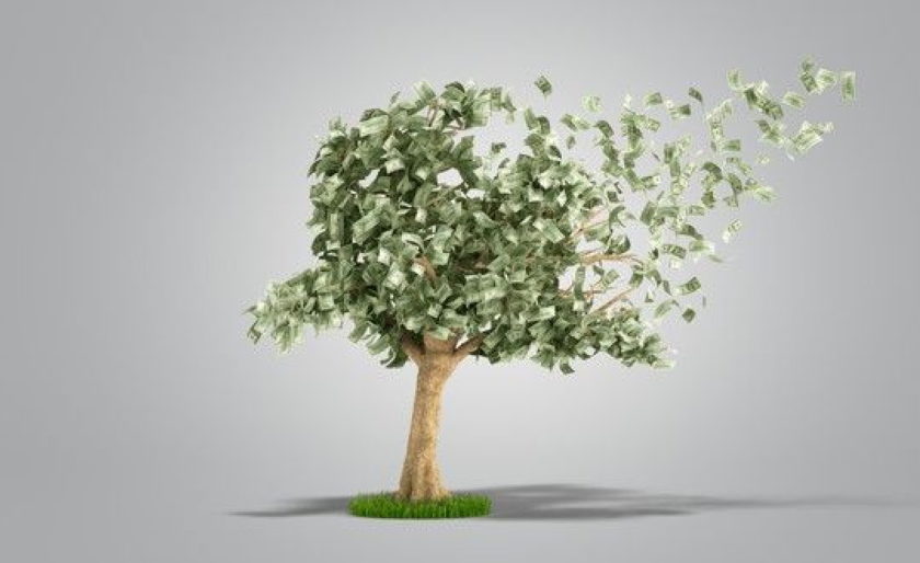 Casino Money Tree